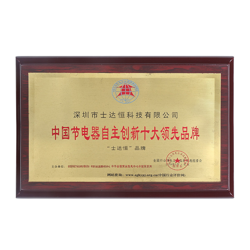 中国节电器自主创新十大领先品牌奖